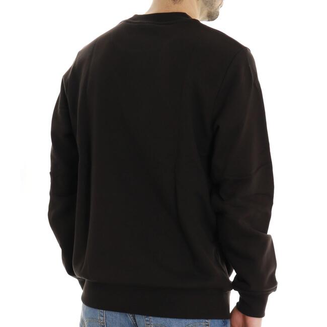 FELPA BASIC LACOSTE - Mad Fashion | img vers.650x/